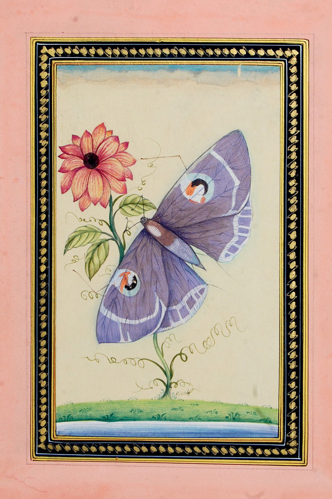 BUTTERFLY WITH FOWER